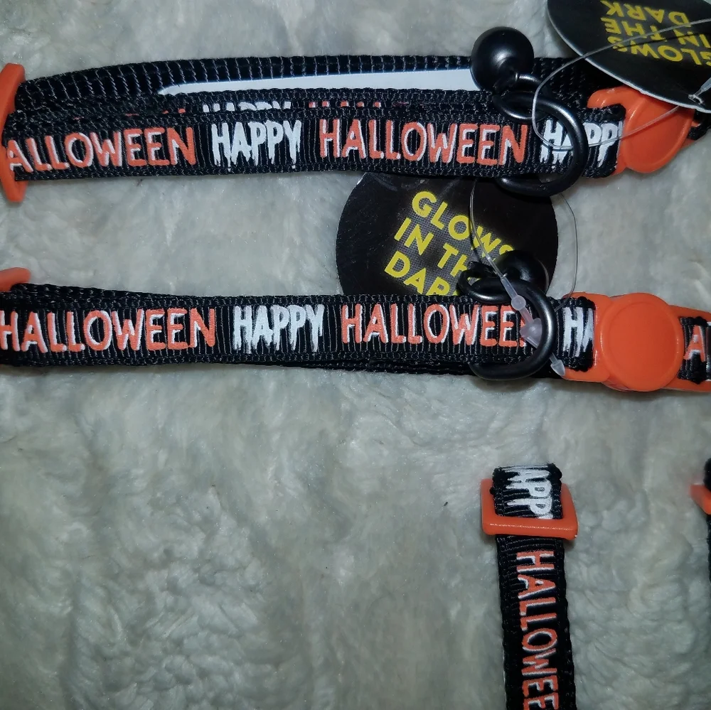 Happy Halloween glow in dark cat collars